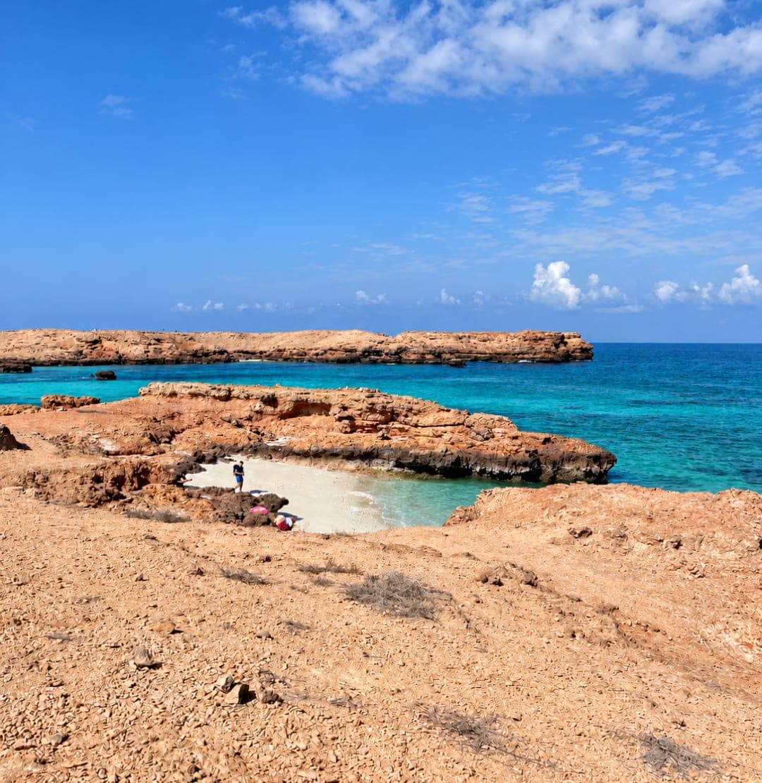 A Daymaniyat island beach and reef flat under a blue sky off the Muscat coast