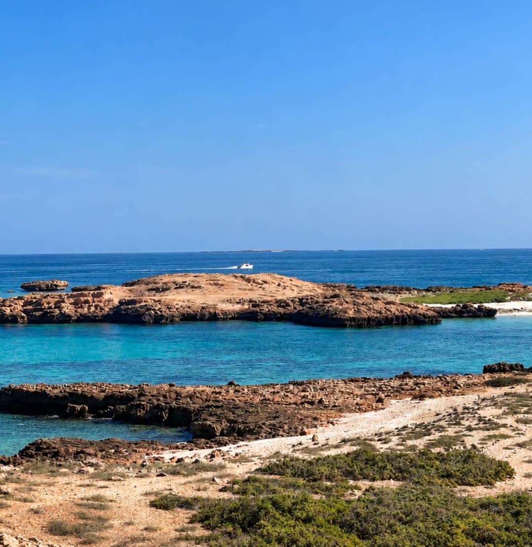 A low rocky Daymaniyat island with a white-sand beach and turquoise water off Muscat