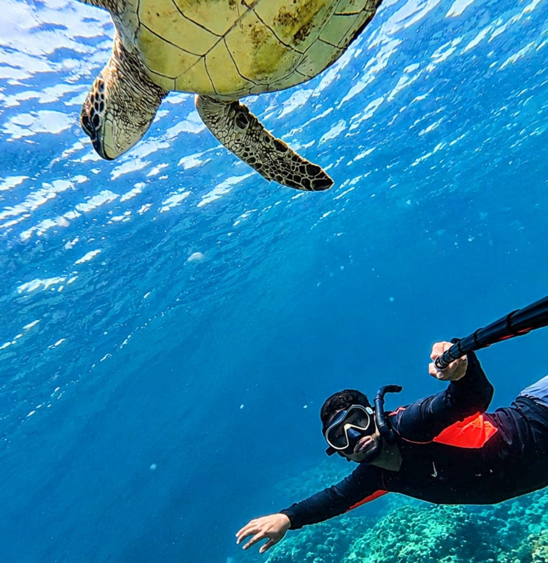 A freediver reaching up beneath a sea turtle swimming overhead at the Daymaniyat Islands
