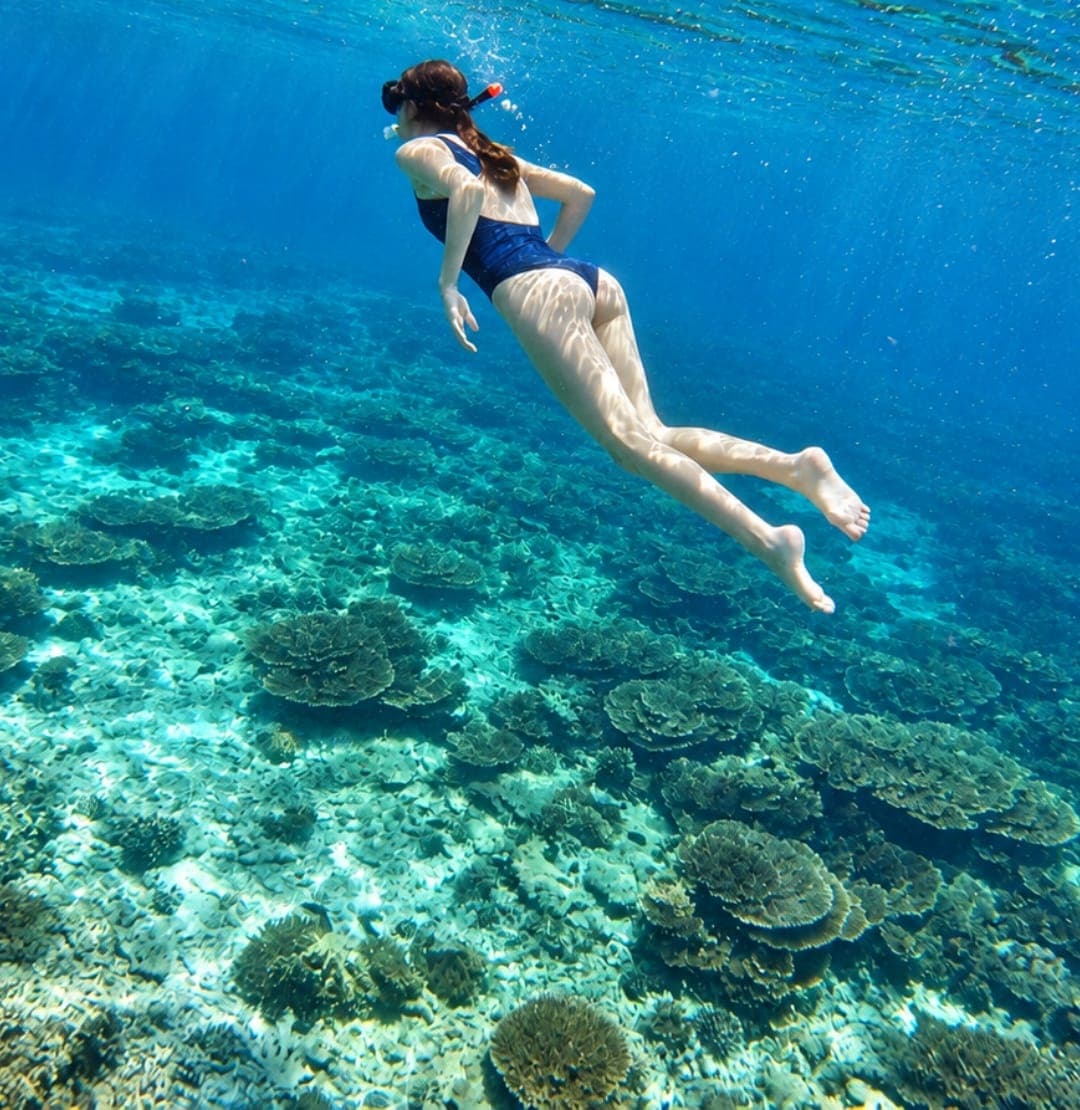 A snorkeller diving down over the reef in clear blue water at the Daymaniyat Islands