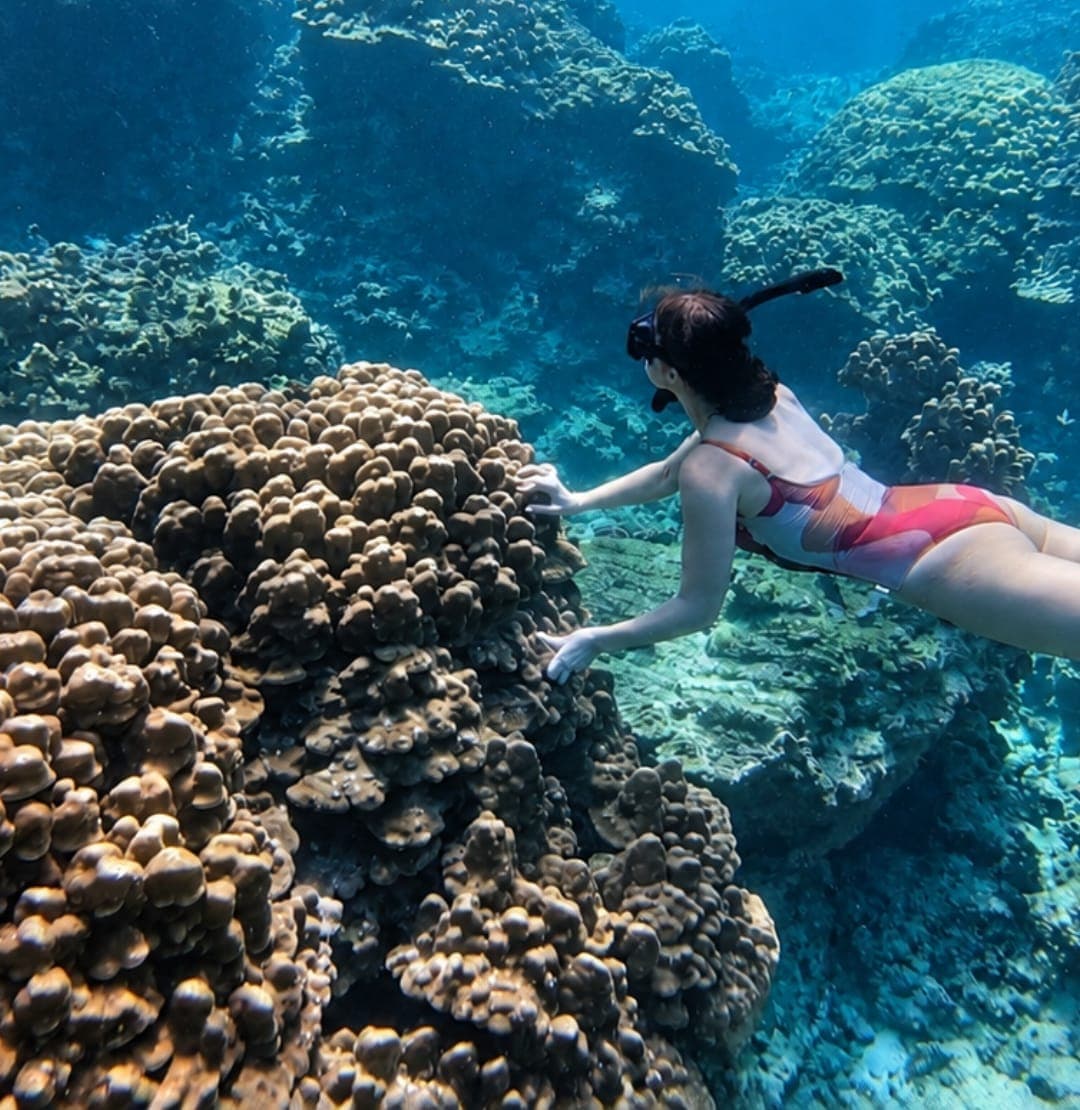 A snorkeller exploring a large coral head at the Daymaniyat Islands