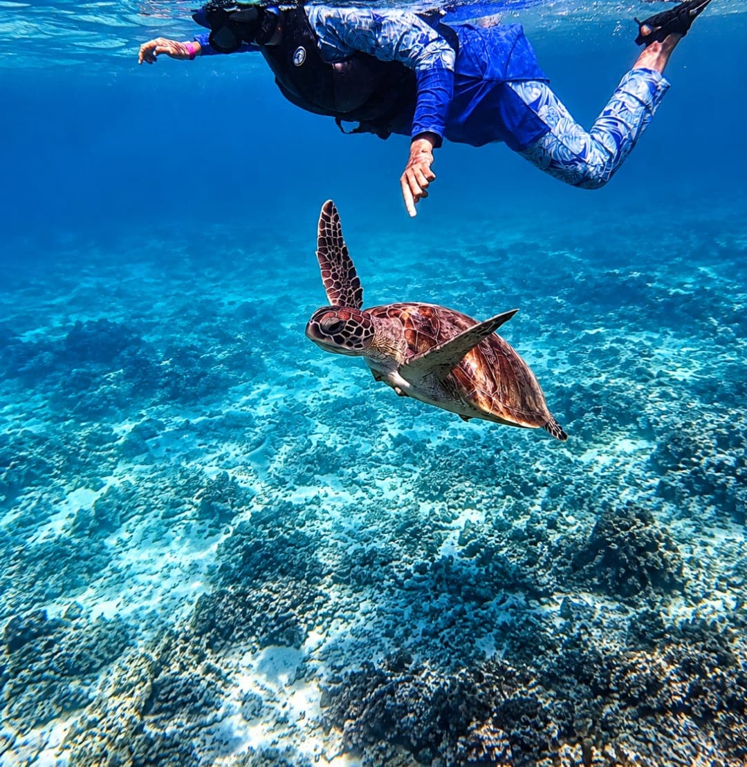 A snorkeller following a sea turtle over the sandy seabed at the Daymaniyat Islands