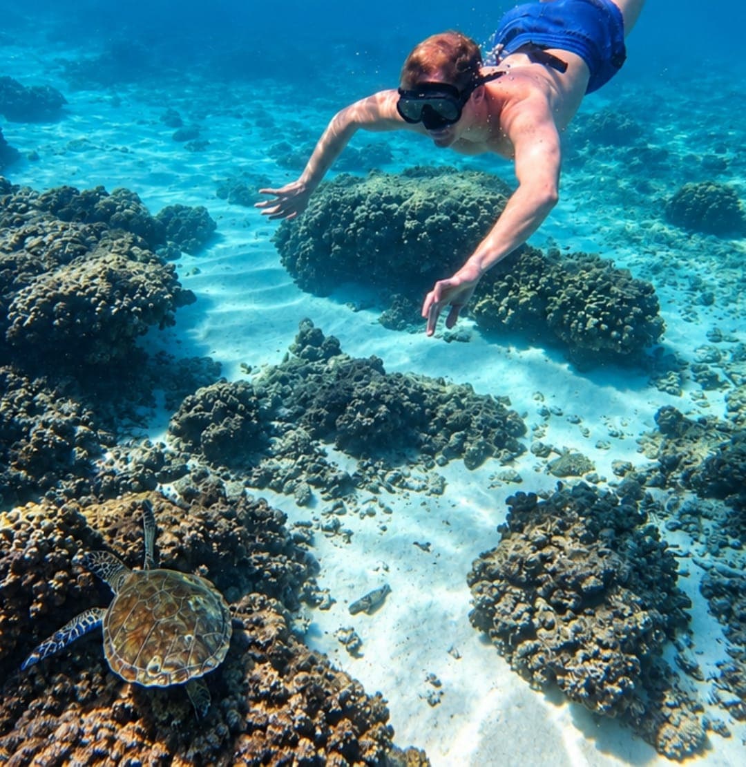 A snorkeller swimming over the reef with a sea turtle below at the Daymaniyat Islands