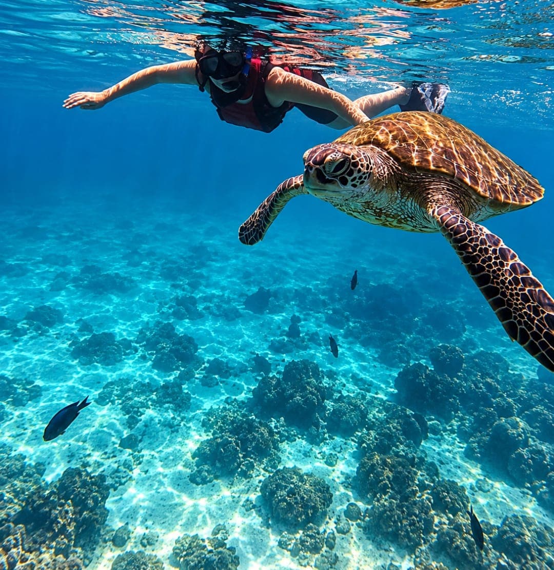 A snorkeller swimming alongside a sea turtle in clear water at the Daymaniyat Islands