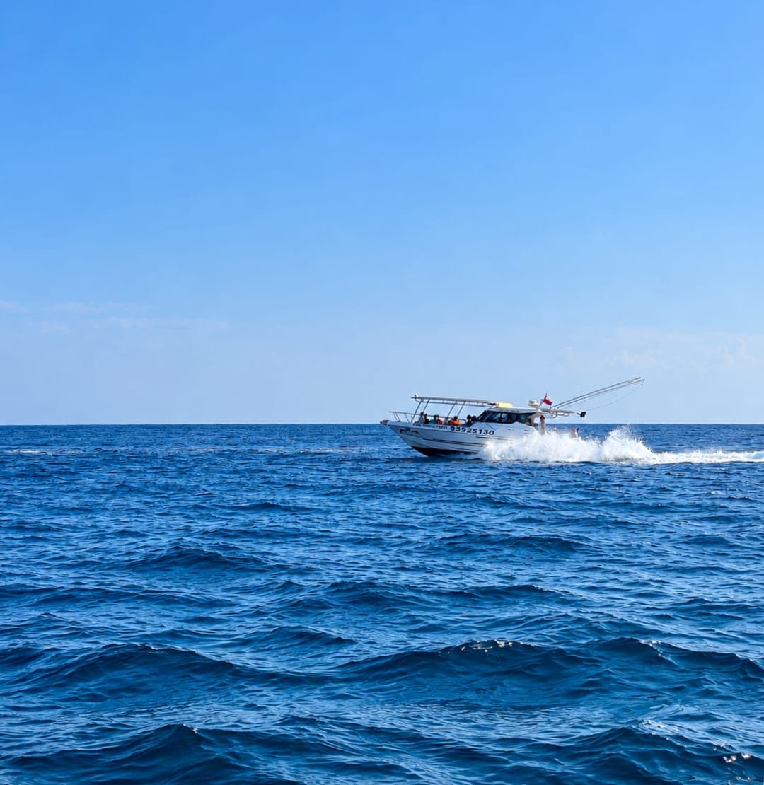 A Royal Marine Tours boat speeding across the deep blue Gulf of Oman off Muscat