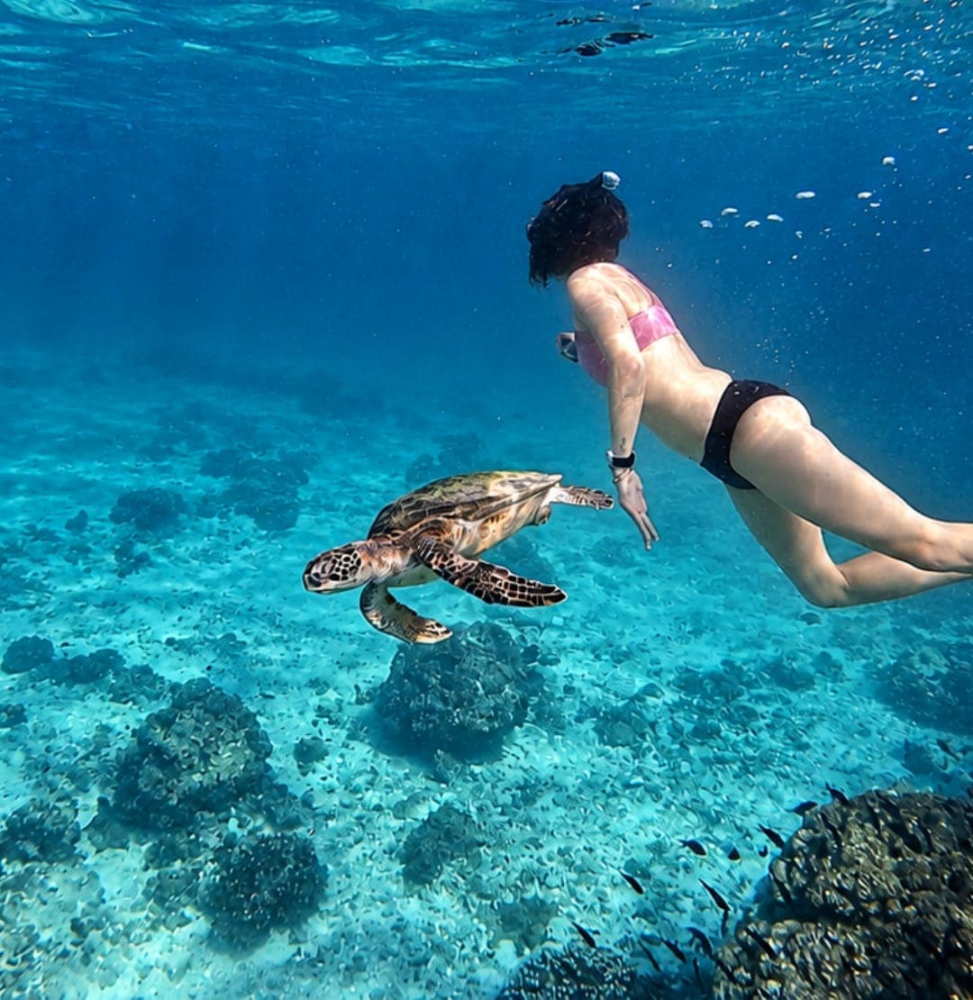 A swimmer diving down towards a sea turtle in clear water at the Daymaniyat Islands